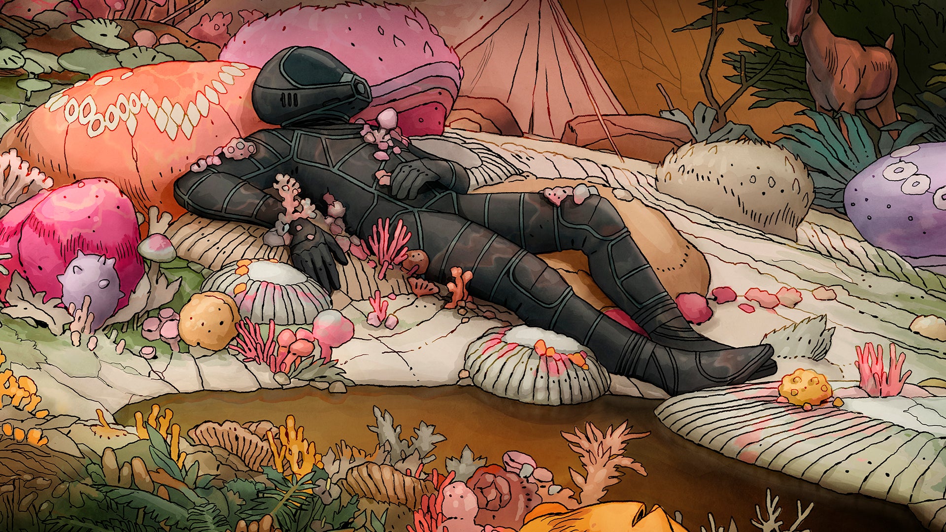 Apostas em Futebol Feminino: Dicas para a Copa e Ligas相关图片